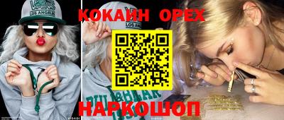 a pvp Кандалакша