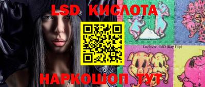 a pvp Камышлов