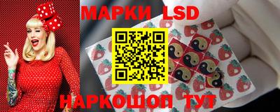 a pvp Камышлов