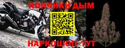 a pvp Камышлов