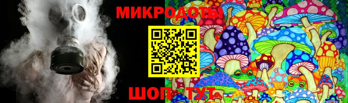 Галлюциногенные грибы Psilocybe  Вход с VPN  Псилоцибиновые грибы мицелий  Кушва 